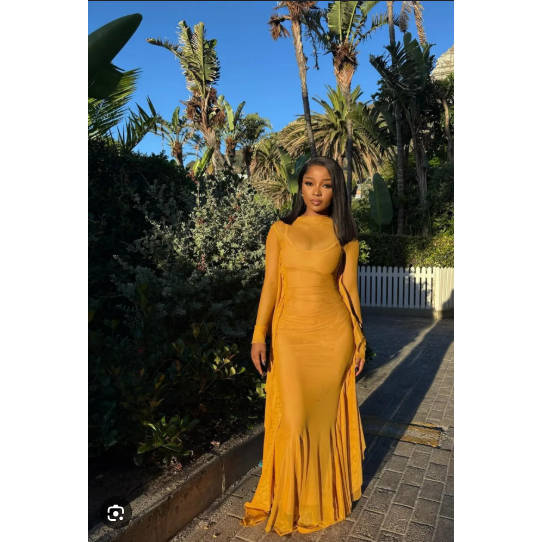 Plain Color Long Sleeve Simple Casual Elegant Draped Pleated Sleeve Dress