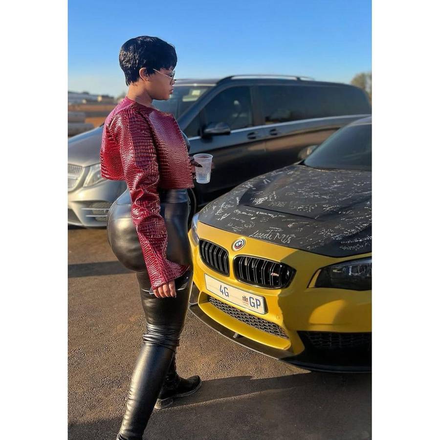 Maroon Crocodile Print Long Sleeve Crop Jacket