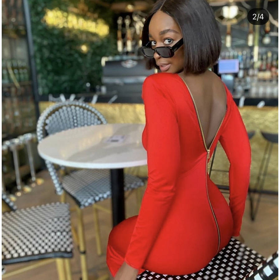 Long Sleeve Back Zipper Dress - GREEN / L