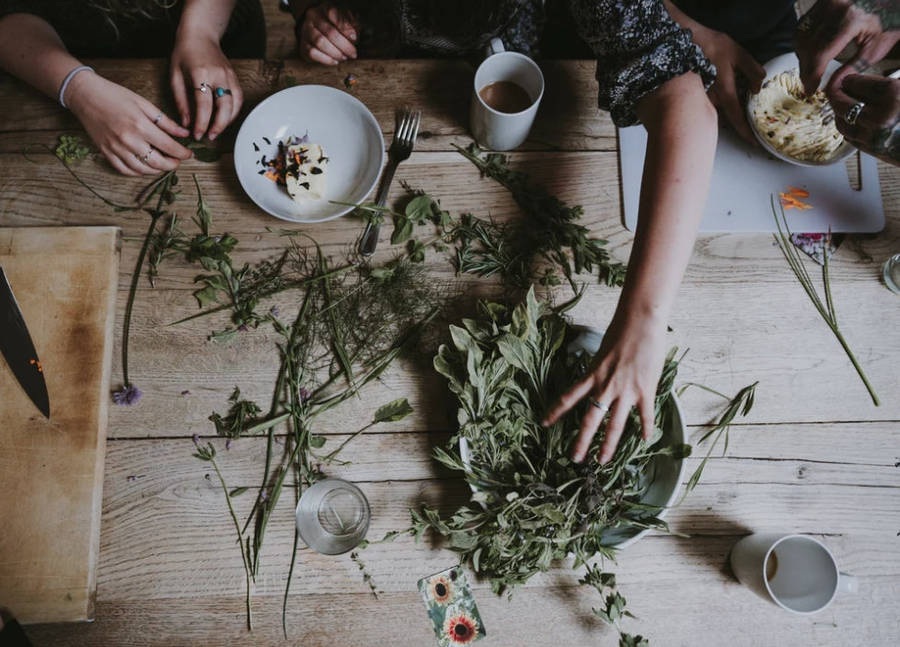 Cistus Incarnus Tea (wildcrafted)