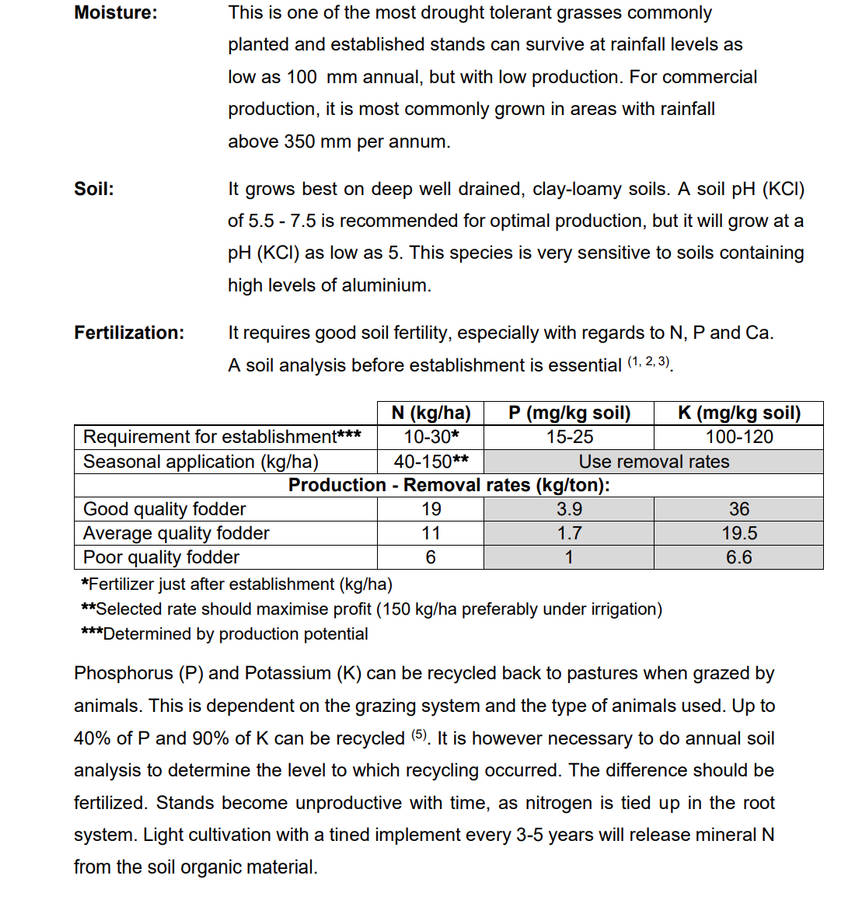 Blue Buffalo Grass Seeds (Coated ) 20kg