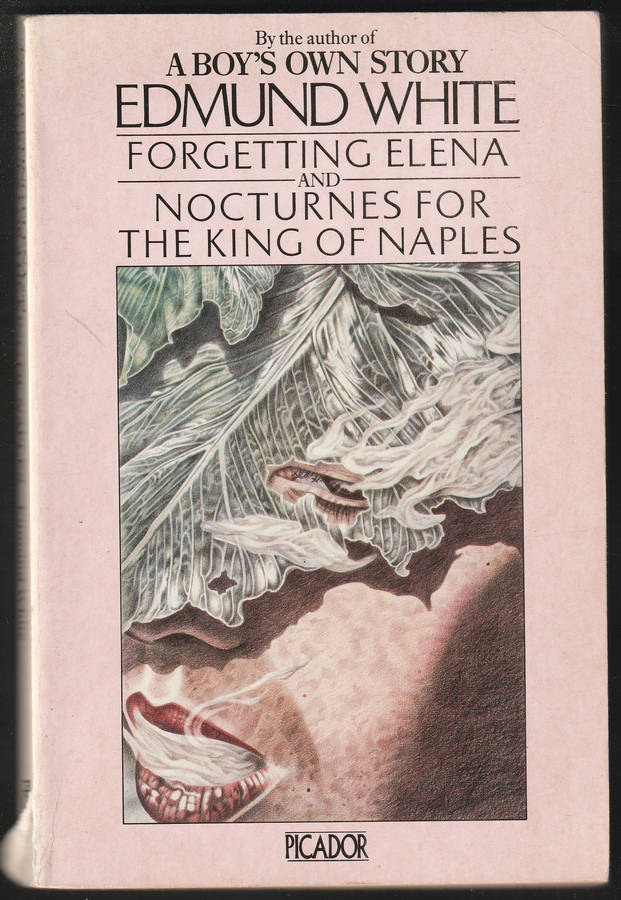 Forgetting Elena And Nocturnes For The King Of Naples By Edmund White