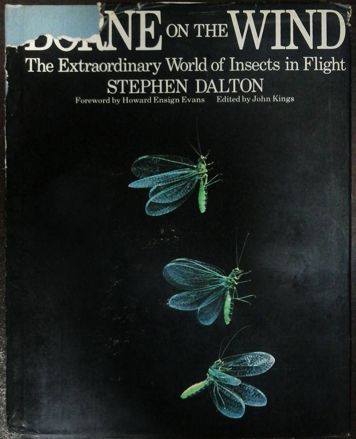 Borne On The Wind By Stephen Dalton