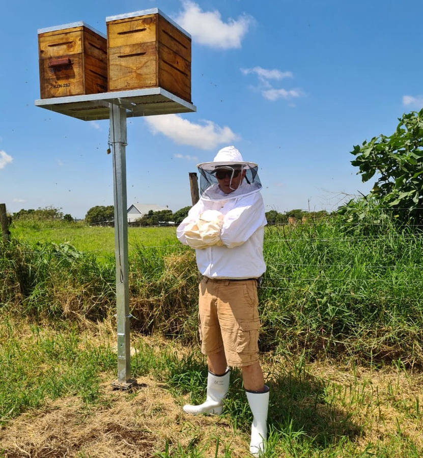 Hive Stand - elevated