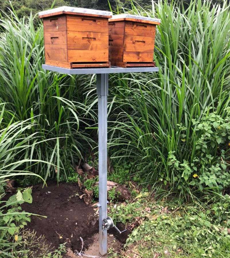 Hive Stand - elevated