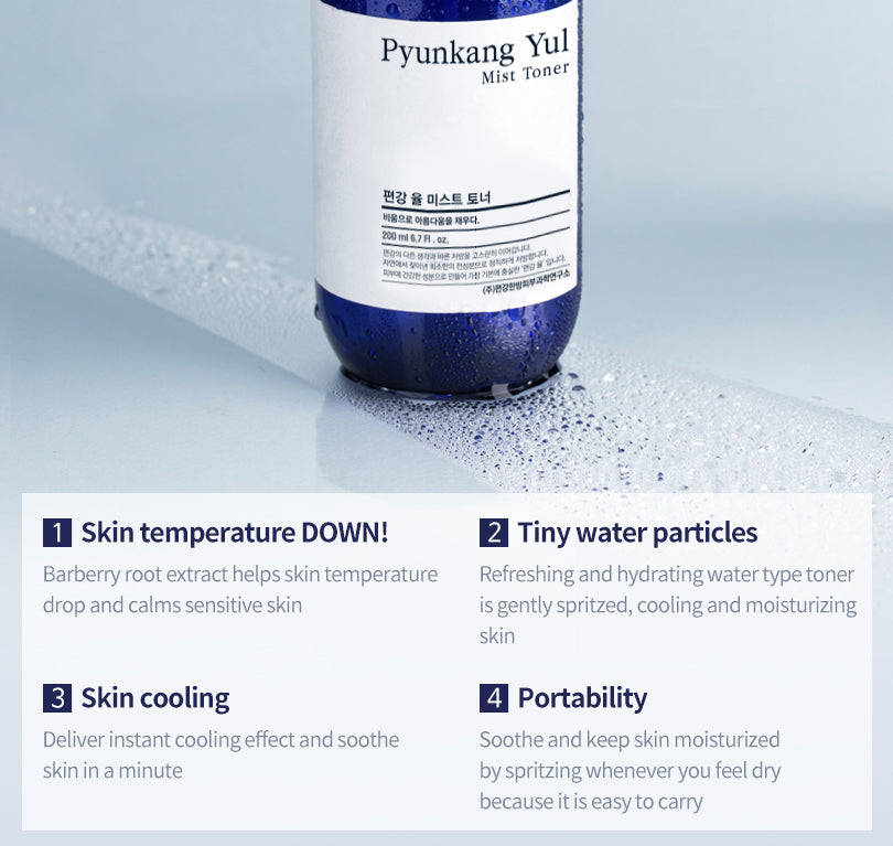 Pyunkang Yul Mist Toner 100ml