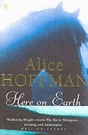 Here on Earth - Alice Hoffman