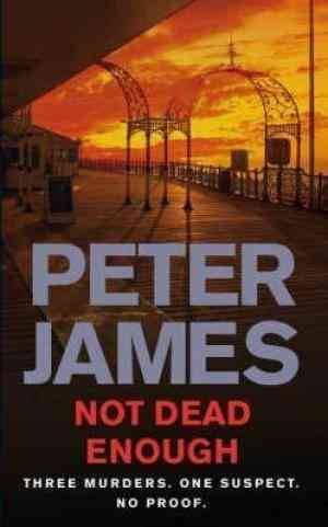 Not Dead Enough Spl - James Peter