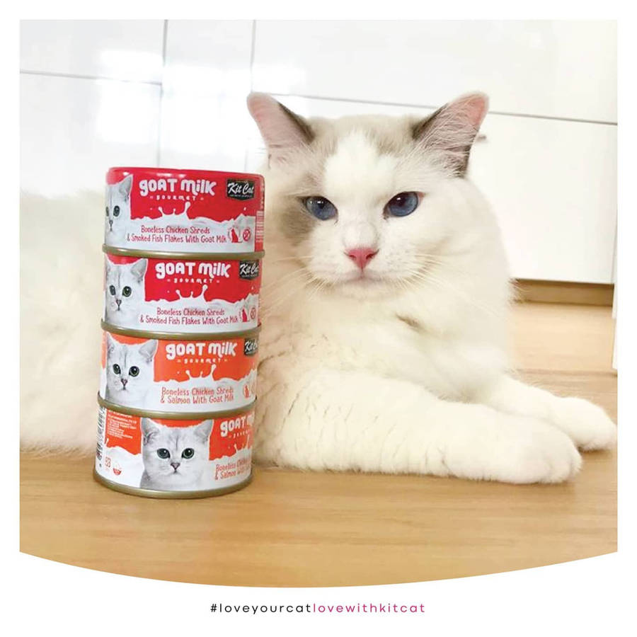 Kit Cat Goat's Milk Gourmet Bulk Deal (70g x 24 tins)