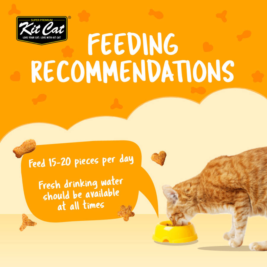 Kit Cat Kitty Crunch (60g)
