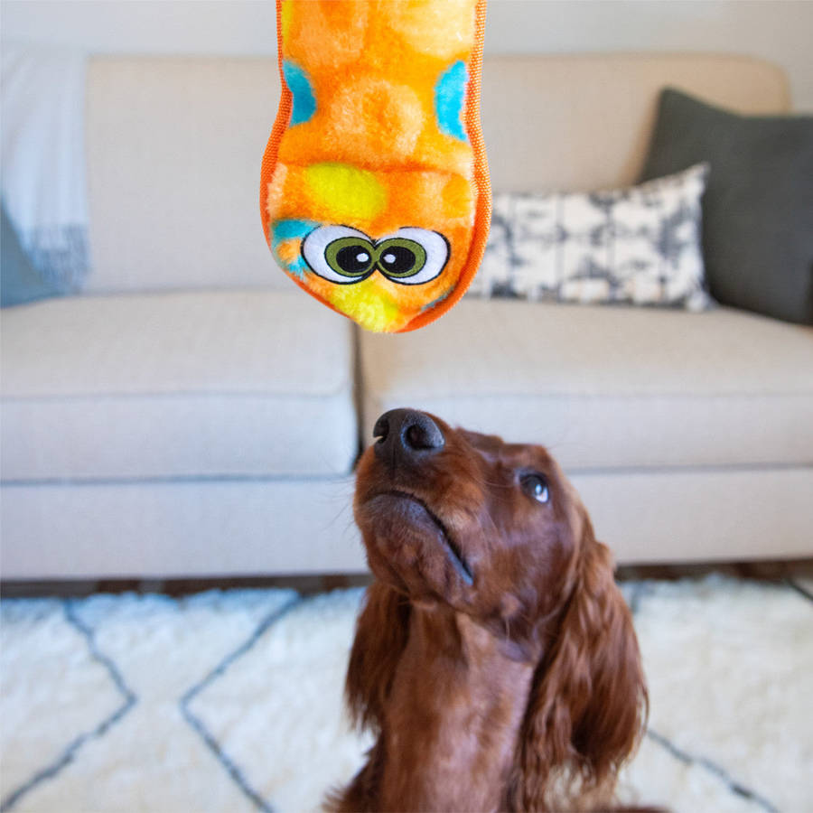 Outward Hound Sssupreme Snake