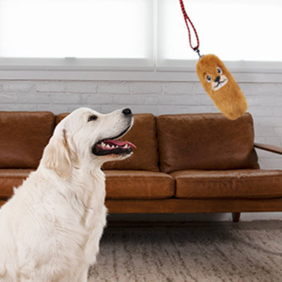 Outward Hound Tail Teaser Replacements