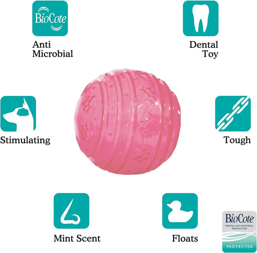 BioSafe Puppy Ball