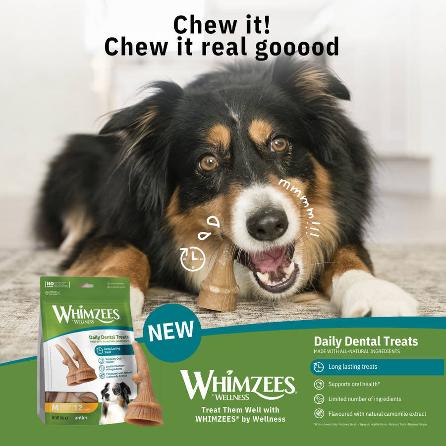 Whimzees Medium Antler Single BUY 1 GET 1 FREE