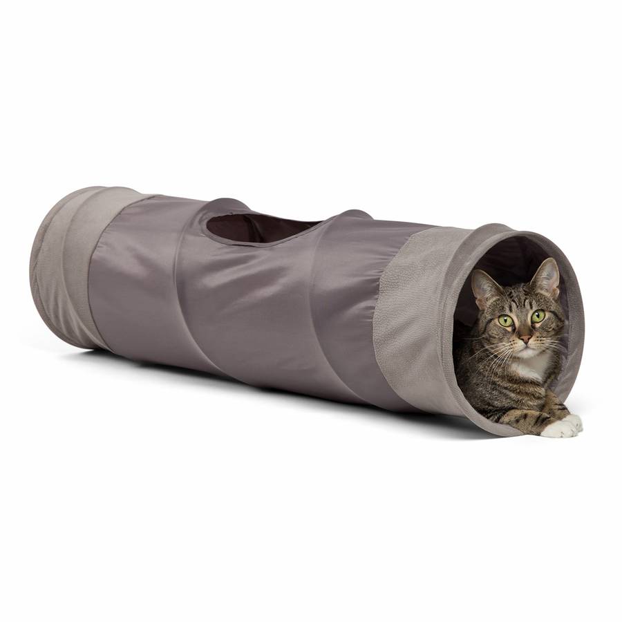 Best Friends by Sheri Cat Tunnel Ilan