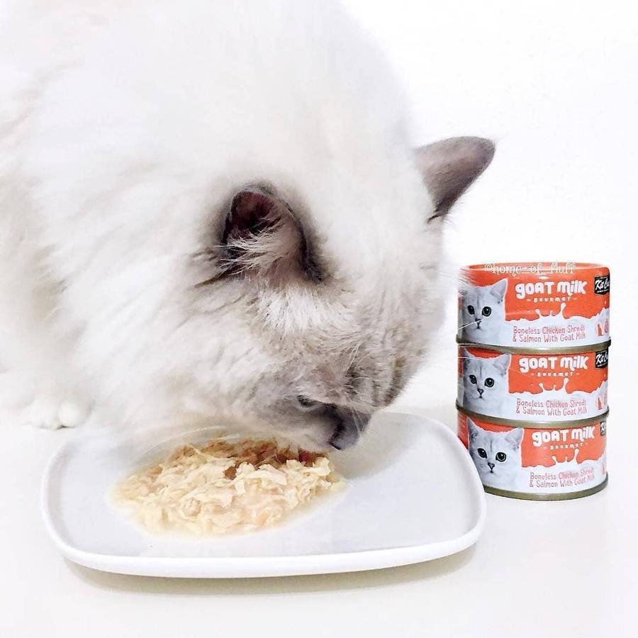 Kit Cat Goat's Milk Gourmet Bulk Deal (70g x 24 tins)