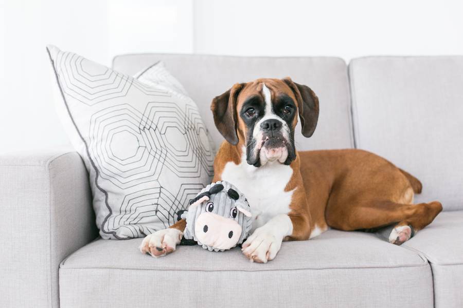 Outward Hound Fattiez Cow