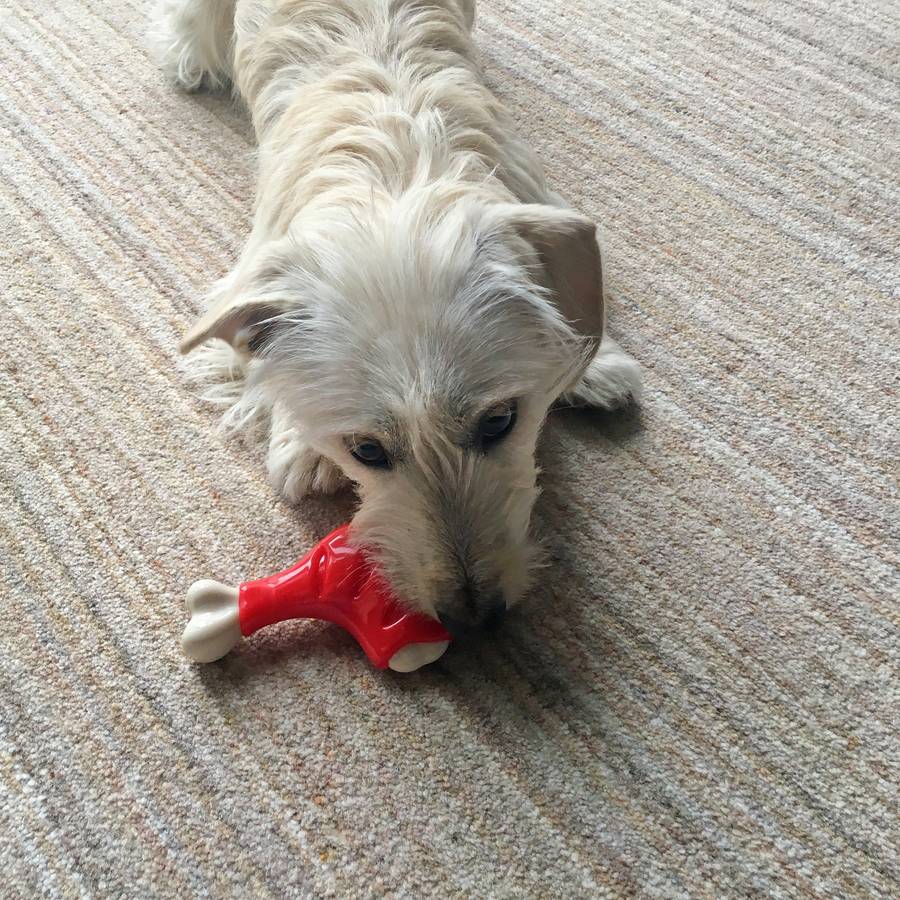 Tough Toys Chicken Leg