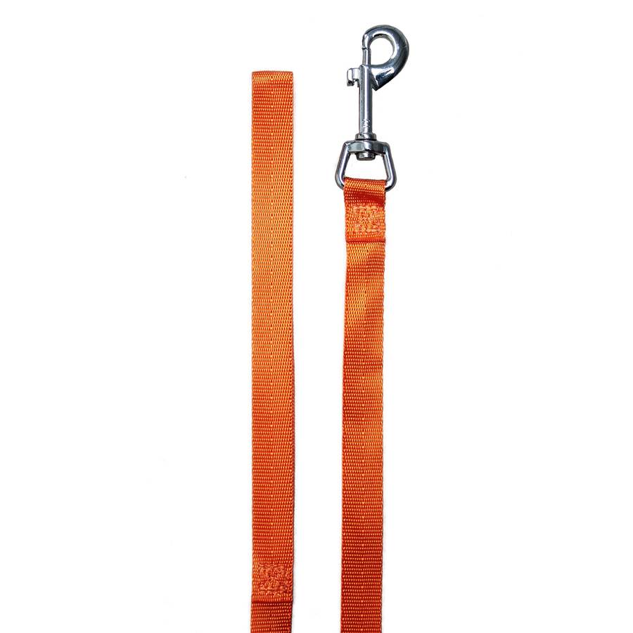 Rosewood Recall Training Lead