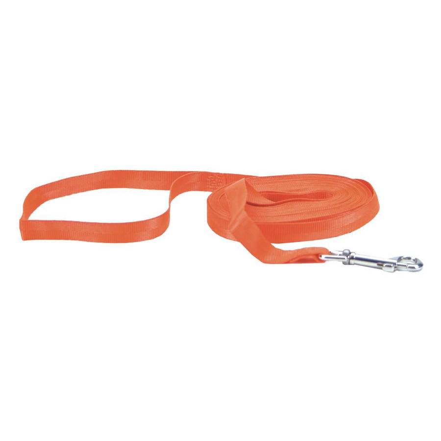 Rosewood Recall Training Lead