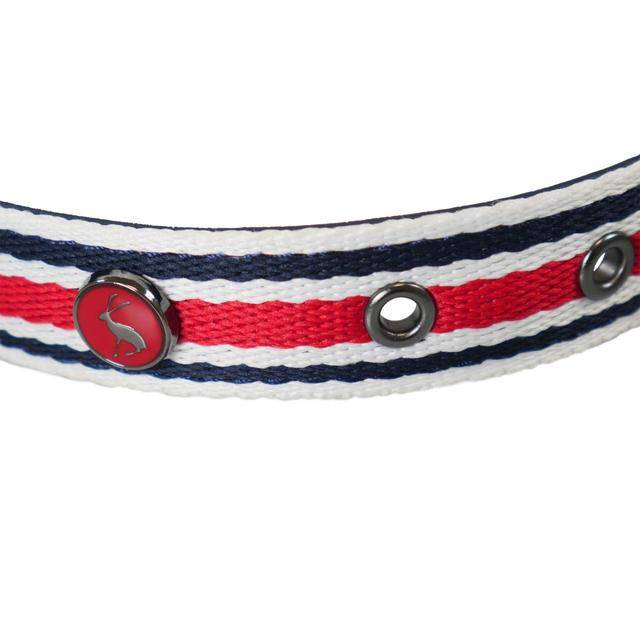Rosewood & Joules Striped Dog Collars