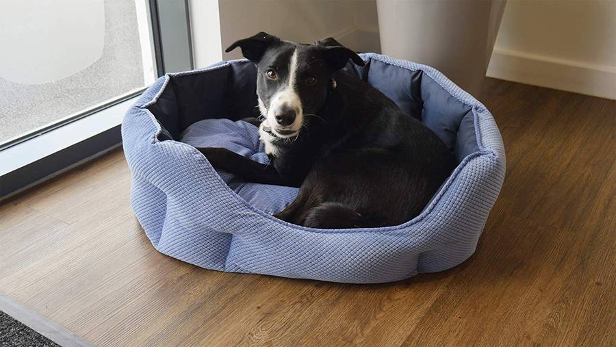 Rosewood Quilted Navy Water-Resistant Beds