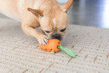 Carrot Stuffer