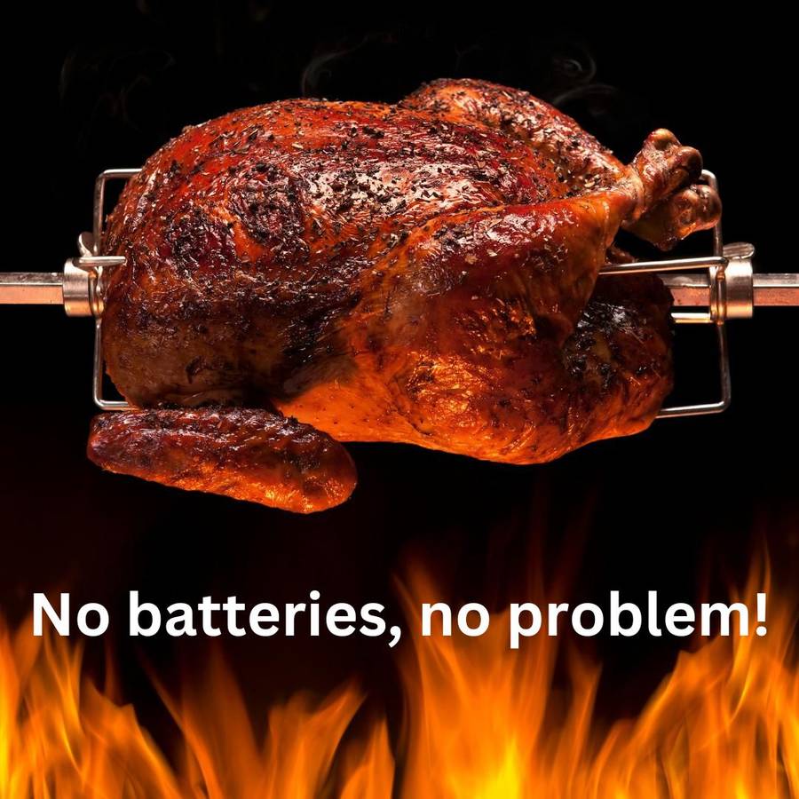 Lifespace 220v Adaptor Plug for the Lifespace 3V DC Battery Rotisserie Motor