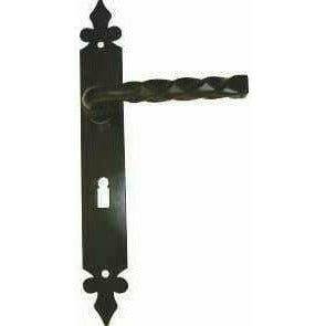 Wrought iron lever handle on back plate
