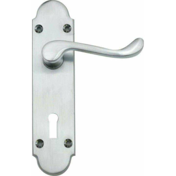 Silver Victorian lever handle on backplate 165mm