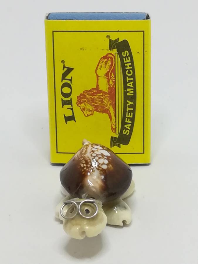 Miniature White & Brown Sea Shells Tortoise Wearing Glasses - Design 1 (Miniature, suitable for p...
