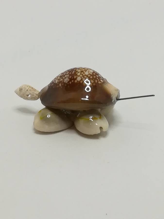 Miniature Brown & Beige Sea Shell Tortoise (Miniature, suitable for printer's tray)