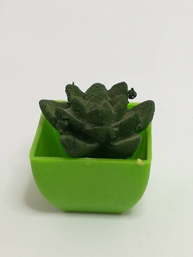 Miniature Cactus (Miniature, suitable for printer's tray)