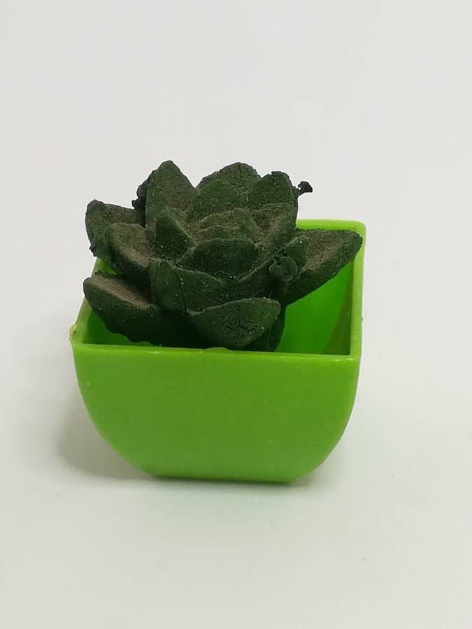 Miniature Cactus (Miniature, suitable for printer's tray)