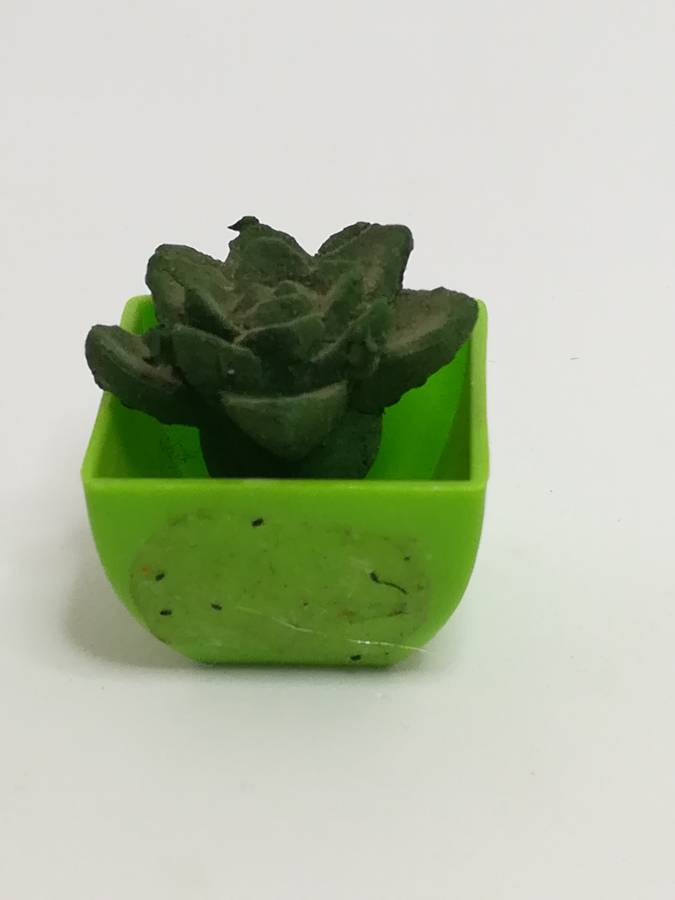 Miniature Cactus (Miniature, suitable for printer's tray)