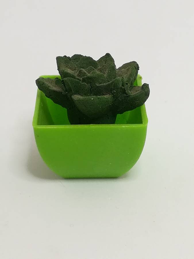 Miniature Cactus (Miniature, suitable for printer's tray)