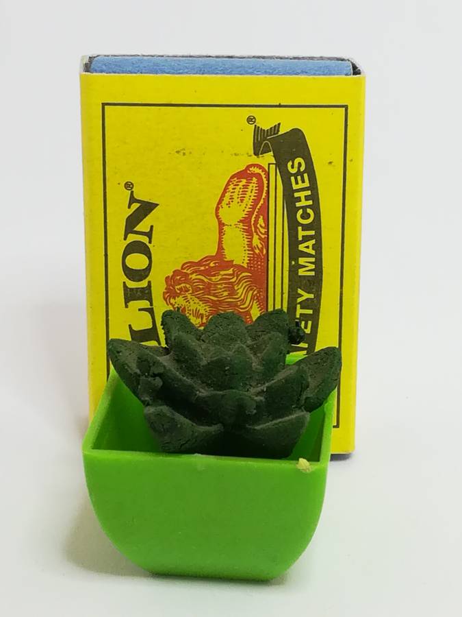 Miniature Cactus (Miniature, suitable for printer's tray)