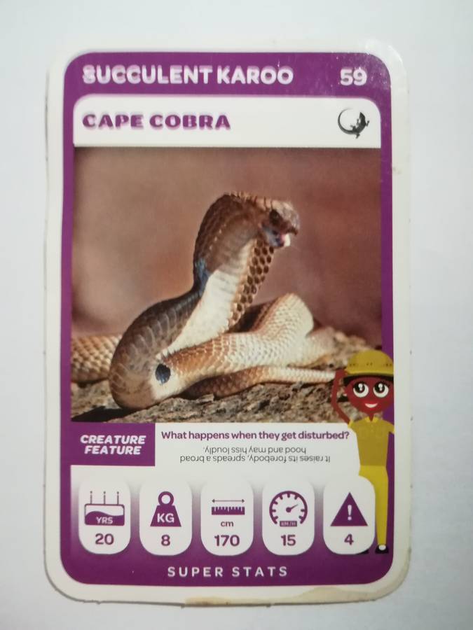 Pick n Pay South African Super Animals (Green) - Card 59 - Cape Cobra