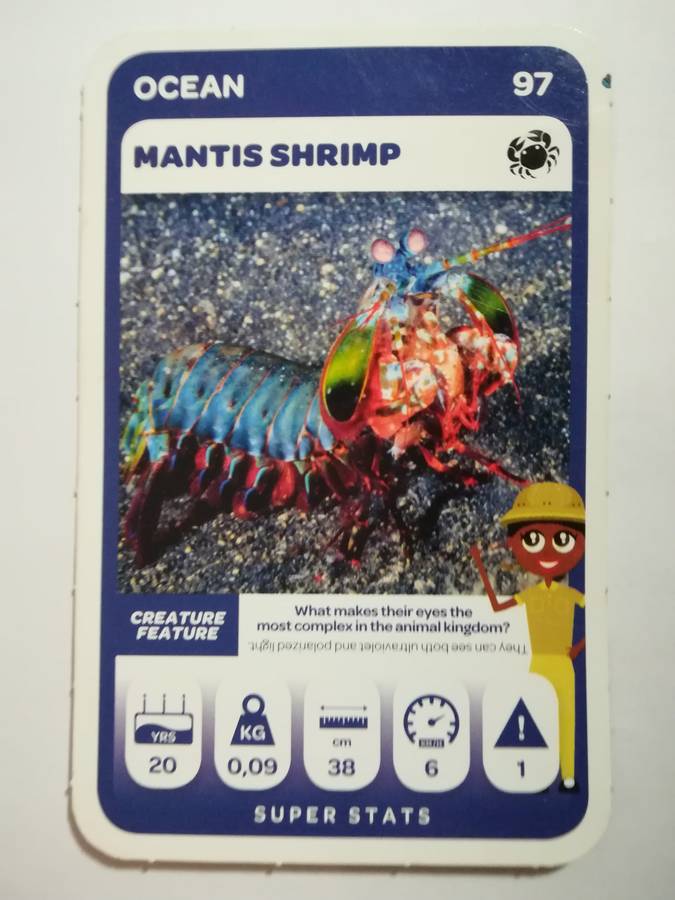 Pick n Pay South African Super Animals (Green) - Card 97 - Mantis Shrimp