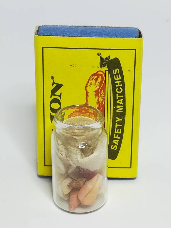 Miniature Bottle Colourful Shells (Miniature, suitable for printer's tray)