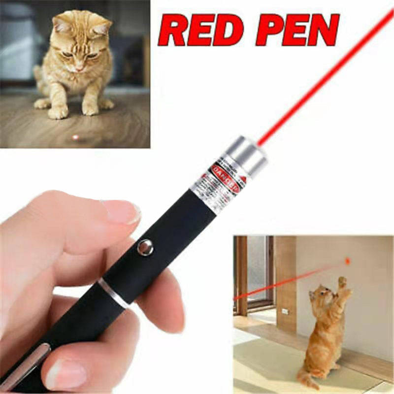 Laser Pointer Green / Red / Purple