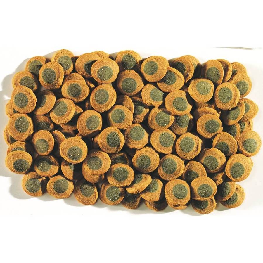 Tetra Pleco Multi Spirulina Wafers 85g