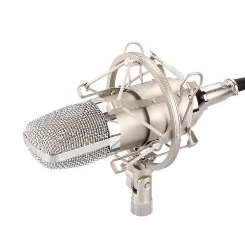 FIFINE F-700 Professional Condenser Sound Recording Microphone with Shock Mount for Studio Radio ...