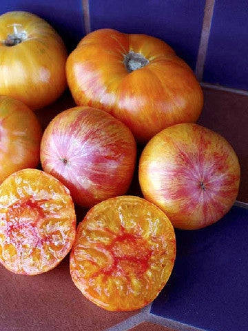 Big Rainbow Tomato - Lycopersicon Esculentum - Heirloom Vegetable - 10 Seeds