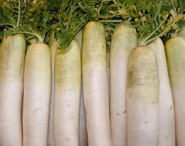 Snow White Carrot - Heirloom Vegetable - 100 Seeds
