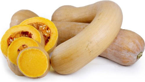 Tahitian ButternutSquash - Heirloom Vegetable - Cucurbita moschata 'Tahitian' - 5 Seeds