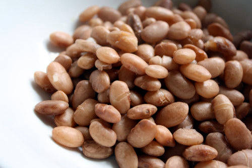 EpicurePole Beans - Heirloom Vegetable - Phaseolus vulgaris - 10 Seeds