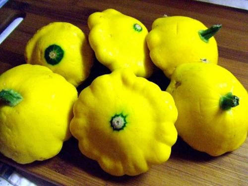 Yellow Scalloped Squash / Patty Pan - ORGANIC - Heirloom Vegetable - 5 Seeds