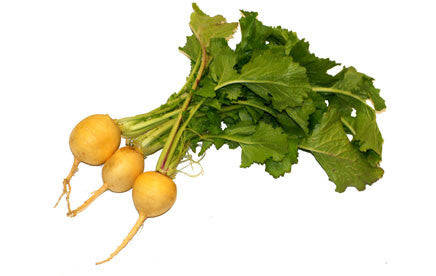 Goldie Turnip - ORGANIC - Heirloom Vegetable - 250 Seeds