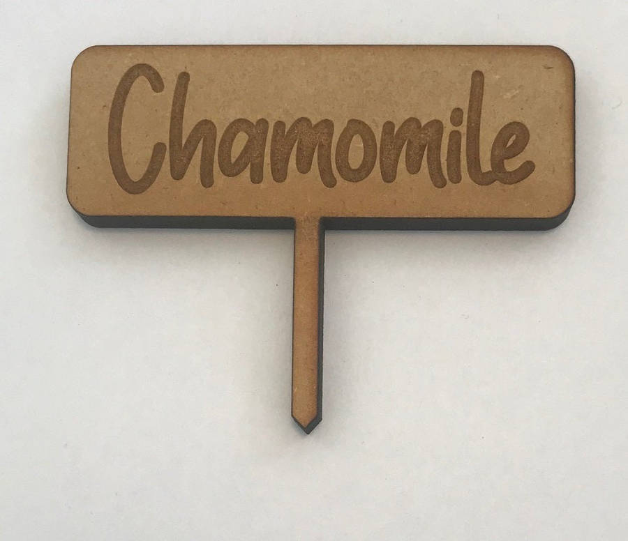 Hand Made Wooden Herb Mini Plant Markers T Shaped